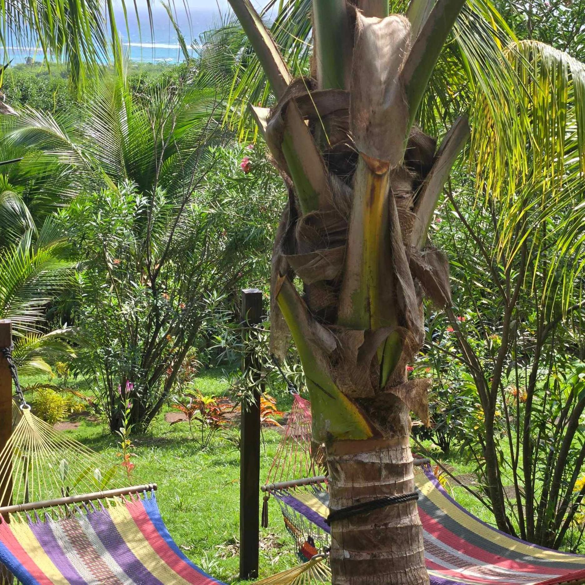 The Lighthouse Retreat, Little Corn Island, Nicaragua Hotell Eksteriør bilde
